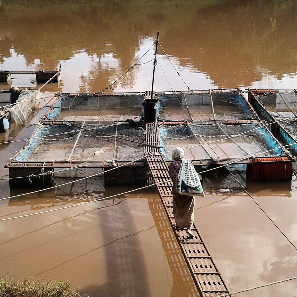 18985237_1329471563774796_1414963310_n