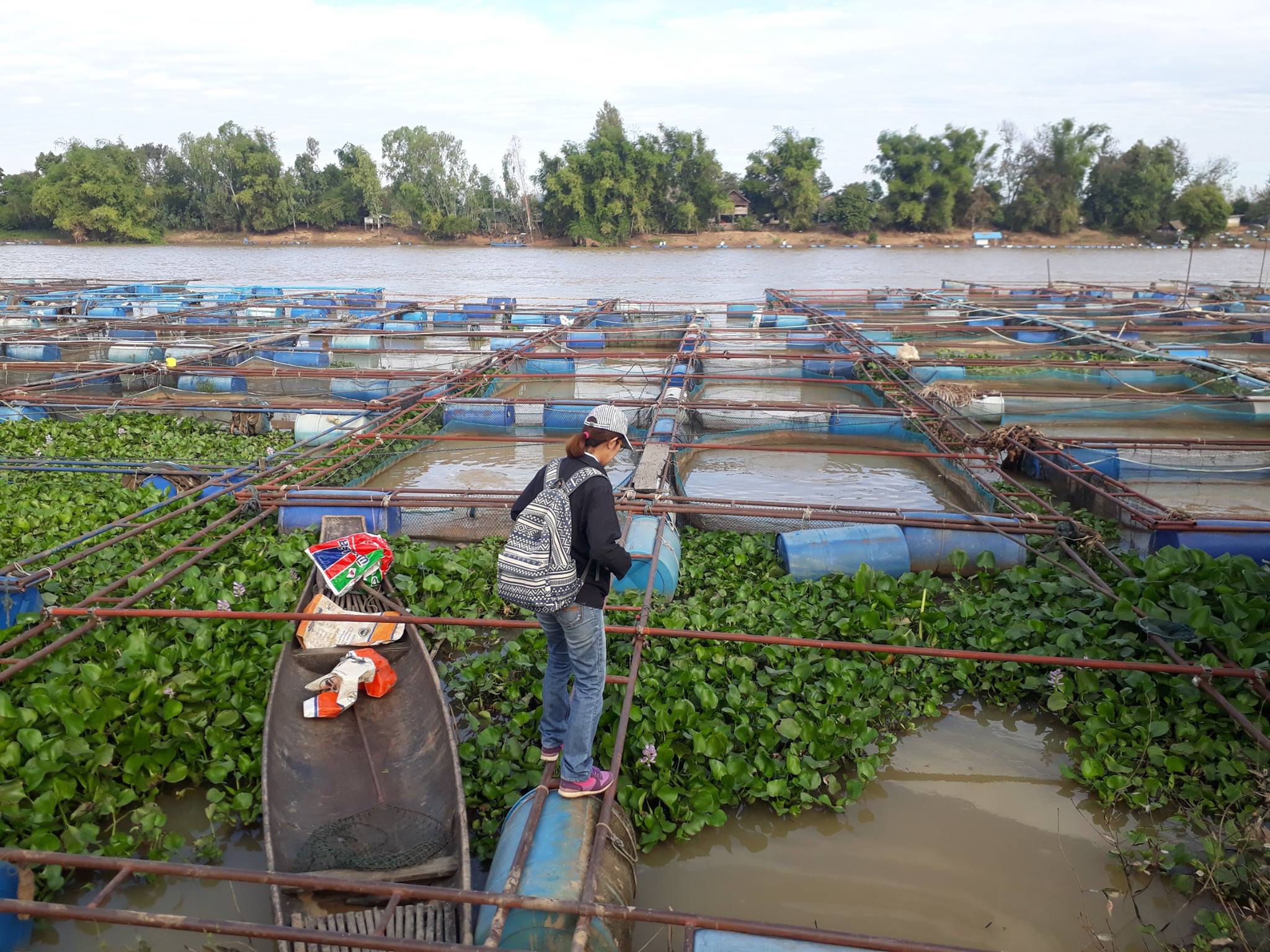 27629288_241397989735789_8510069782115586561_o